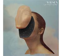 Wilsen I Go Missing In My Sleep (Vinyl LP)