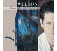 Wilson Brian - Brian Wilson
