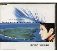 Wilson,Brian - Your Imagination