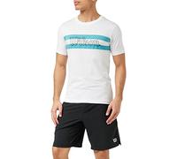 Wilson CHI Script CTN T-Shirt, Maglietta da Uomo, Cotone, Bianco, Taglia S, WRA790902SM