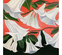 Danny George Wilson Another Place (CD) Album