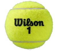 Palline da tennis Wilson Roland Garros All Ct 4 Ball 2Pk 8 pezzi giallo WRT116402