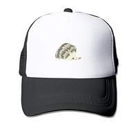 Wilson Phillips - So far