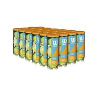 Wilson Prime All Court - Palline da tennis, 1 custodia (72 palline)