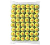 Palline da tennis per bambini Wilson Starter Orange (48 pz) - 8-10 years