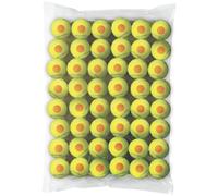 Palline da tennis per bambini Wilson Starter Orange (48 pz) - 8-10 years