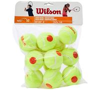 Palline da tennis Wilson Starter Orange Tball 12 pezzi giallo WRT137200