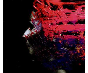 Wilson Steven - Hand. Cannot. Erase