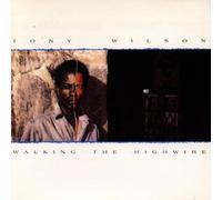 Wilson,Tony - Walking the Highwire