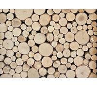 Wilson Tronchi decorativi in betulla bianca da 17,8 a 22,9 cm, decorazione naturale per la casa, diametro 3,8 - 10,2 cm