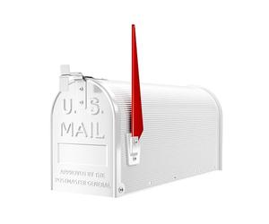 Wiltec Cassetta postale americana in acciaio zincato bianco con materiale di montaggio