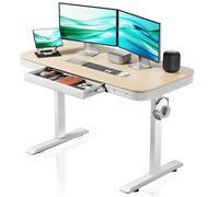 Wiltec Scrivania motorizzata regolabile in altezza Motore singolo Standing desk