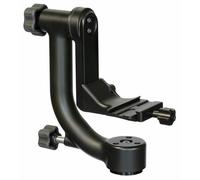 Wimberley Testa WH 200 Versione II