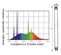 Wimex 4405110 Tubolar Lampade Fluorescenti T5 e T8, G5 Attacco, Daylight Colore, 8W Potenza, 56V Tensione, 16mm Diametro, 288mm Lunghezza, Confezioni da 10