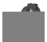 Wimnqie Fischietto per campeggio, giocattolo a forma di triceratopo, attrezzatura per la sopravvivenza, per il campeggio, per l'intrattenimento all'aperto, feste, eventi, amici e familiari