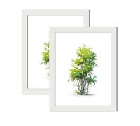 WINCUR Confezione da 2 cornici portafoto doppie in vetro, con display trasparente, in legno, stile galleria, con plexiglass HD, per tavolo e montaggio a parete