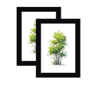 WINCUR Confezione da 2 cornici portafoto doppie in vetro, con display trasparente, in legno, stile galleria, con plexiglass HD, per tavolo e montaggio a parete