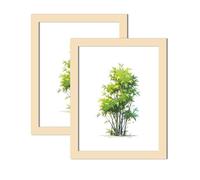 WINCUR Confezione da 2 cornici portafoto doppie in vetro, con display trasparente, in legno, stile galleria, con plexiglass HD, per tavolo e montaggio a parete