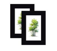 WINCUR Confezione da 2 cornici portafoto doppie in vetro, con display trasparente, in legno, stile galleria, con plexiglass HD, per tavolo e montaggio a parete