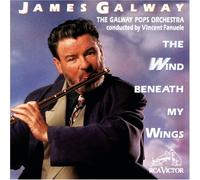 Wind Beneath My Wings
