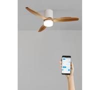 WIND CALM LINE - Ventilatore Da Soffitto 40W Silenzioso Ø132 Cm 100% Legno WIFI + Telecomando