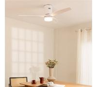 WIND CALM - Ventilatore Da Soffitto Silenzioso Da 40W Con Pale Tecniche In ABS Di Varie Dimensioni Controllo A Parete + Telecomando