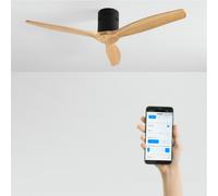 WIND CALM - Ventilatore Da Soffitto Silenzioso Da 40W Con Pale Tecniche In ABS Di Varie Dimensioni Senza Luce