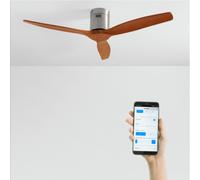 WIND CALM - Ventilatore Da Soffitto Silenzioso Da 40W Con Pale Tecniche In ABS Di Varie Dimensioni Senza Luce