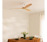 WIND CALM - Ventilatore Da Soffitto Silenzioso Da 40W Con Pale Tecniche In ABS Di Varie Dimensioni Senza Luce
