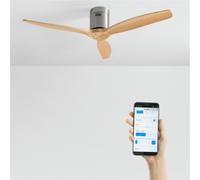 WIND CALM - Ventilatore Da Soffitto Silenzioso Da 40W Con Pale Tecniche In ABS Di Varie Dimensioni Senza Luce