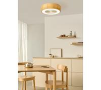 WIND CLEAR EASY - Ventilatore Da Soffitto Silenzioso 40W Ø50 Cm Con Pale Nascoste E Luce LED Telecomando