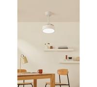 WIND CLEAR LAMP - Ventilatore Da Soffitto Silenzioso Da 40W Ø55cm Con Pale Retrattili E Luce LED Telecomando