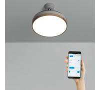 WIND CLEAR - Ventilatore Da Soffitto 40W Silenzioso A Pale Retrattili Con Luce LED Varie Dimensioni Legno Chiaro