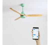 WIND CUP - Ventilatore Da Soffitto 40W Silenzioso Ø132 Cm 100% Legno Senza Luce