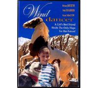Wind Dancer (DVD) Harris Keith Mccoy