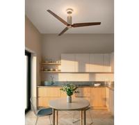 WIND FORMA - Ventilatore Da Soffitto Silenzioso 45 W Ø152 Cm Con Luce Ambientale Opzionale Telecomando