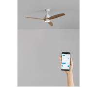 WIND STYLANCE - Ventilatore Da Soffitto Silenzioso Da 40 W Con Pale In ABS Tecnico, Disponibile In Varie Dimensioni WIFI + Telecomando & M (Ø132cm) (stanze 10m²-25m²) & Con Luce & Bianco / Effetto Leg