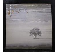 Wind & Wuthering