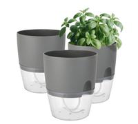 Windfromort Set di vasi per erbe aromatiche da cucina, per davanzale, auto-irrigazione, set da 3 pezzi, per la cucina, 18,2 x 11 x 15,3 cm, per erbe aromatiche (grigio)