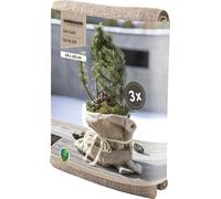 Windhager Set di 3 Sacchi in Iuta - Natural Eco - 1 set
