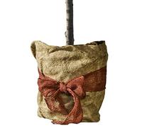 Windhager Tappetino Protettivo Invernale in Tessuto Non Tessuto Eco, Protezione dal Freddo, per Piante, 300 g/m², 0,5 x 4 m, 07521, Naturale