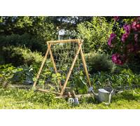 Windhager Tenda a Traliccio in Legno - 1 pz.