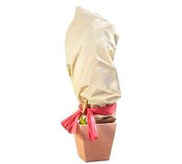 Windhager Tessuto non tessuto invernale Superprotect, Beige, 1,5 x 3 m, 70 g/m²