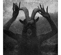 Windhand/Cough Reflections of the Negative (Vinyl LP)