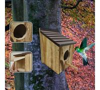 Window Bird House per un piccolo nido di uccelli esterni per colibrì