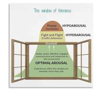 Window of Tolerance Mental Wellness Poster for Safe Spaces