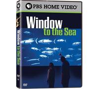 Window to the Sea - Window to the Sea