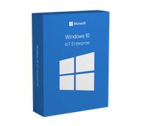 Windows 10 IoT Enterprise - licenza a vita