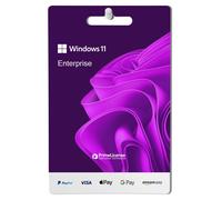 Windows 11 Enterprise -