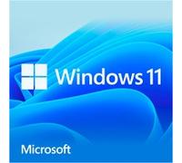 Windows 11 Home 1 licenza/e, Software 1 licenza/e, 1 utente(i), Tedesca, Chiavetta USB